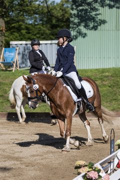 Bild 289 - Pony Akademie Turnier